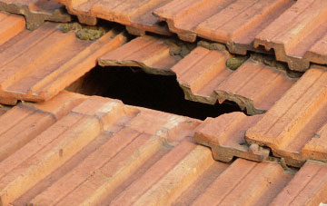 roof repair Walcott