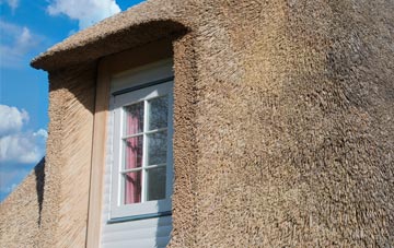 Walcott thatch roof disadvantages