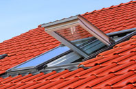 Walcott roof window
